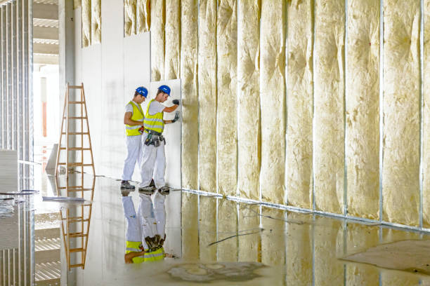 Insulation Replacement Services in Defiance, OH